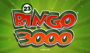 Bingo 3000